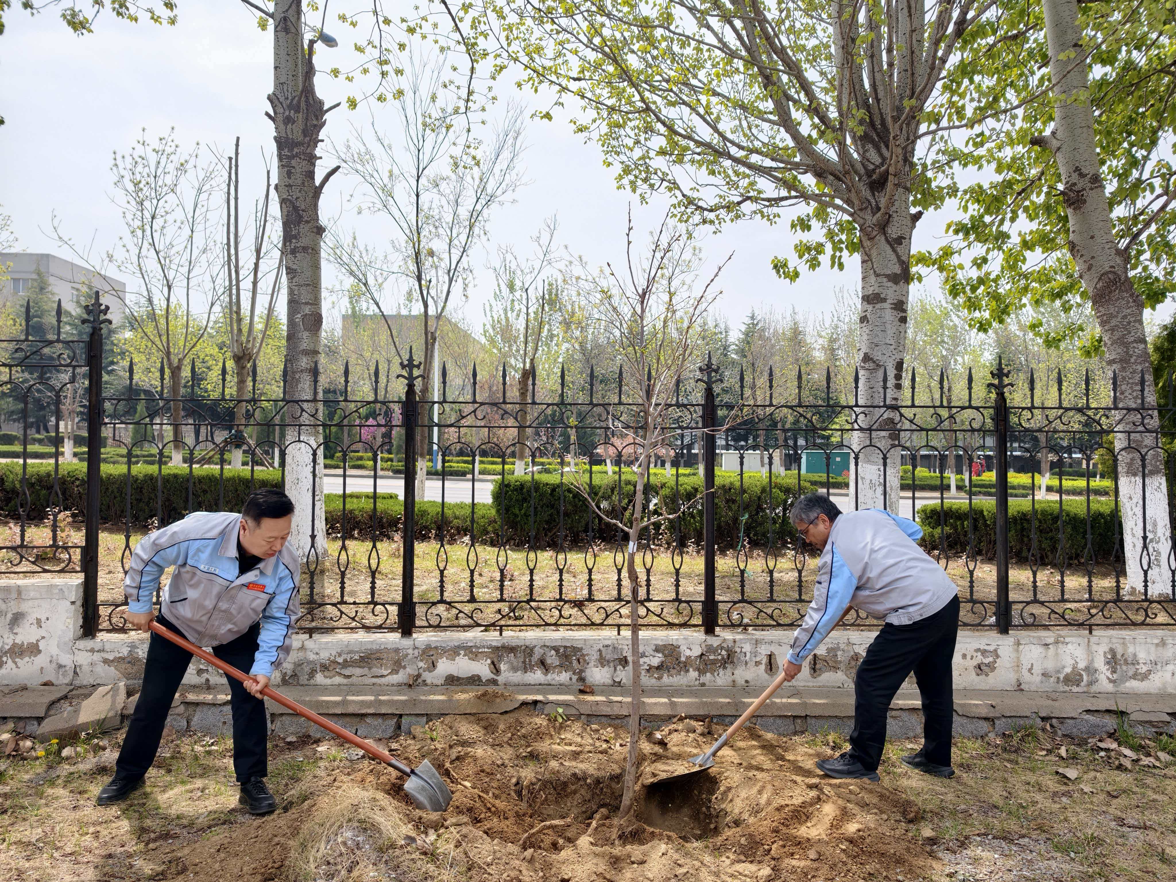 【活动信息】醒春聚力 • 共植未来——开展春季种树活动